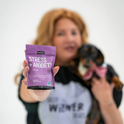 Stress + Anxiety for Dogs