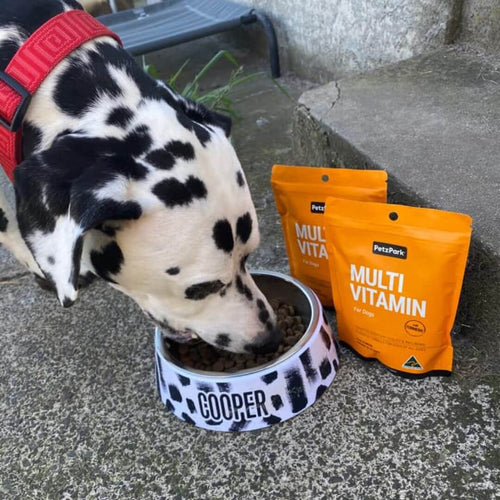 Multivitamin for Dogs
