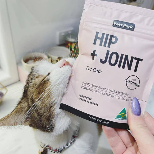 Hip + Joint for Cats