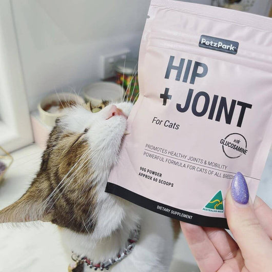 Hip + Joint for Cats