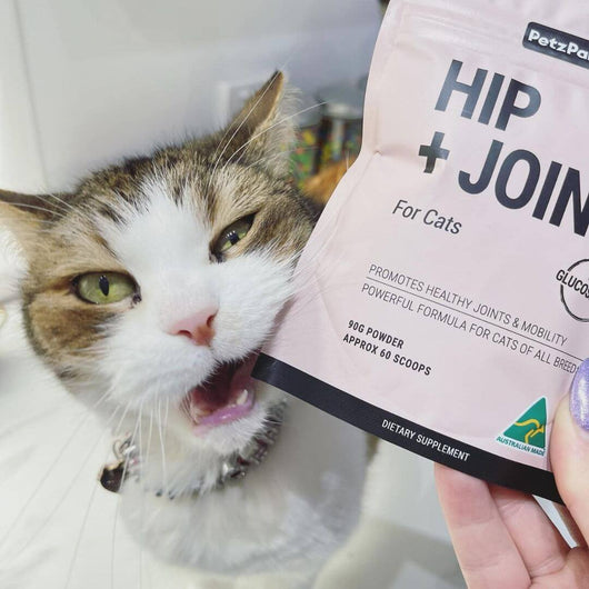 Hip + Joint for Cats