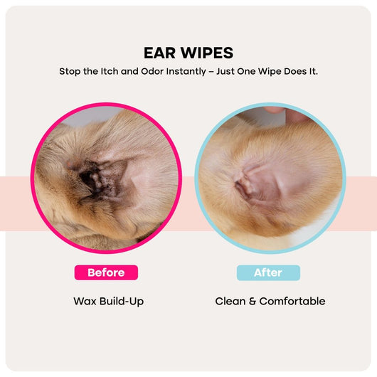 Uproot PureCare™ Kit