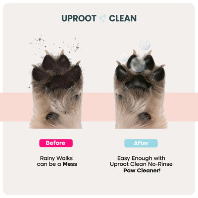 Uproot Paw Cleaner - Rinse-Free Foam Cleanser