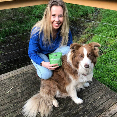 Probiotics for Dogs
