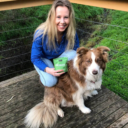 Probiotics for Dogs