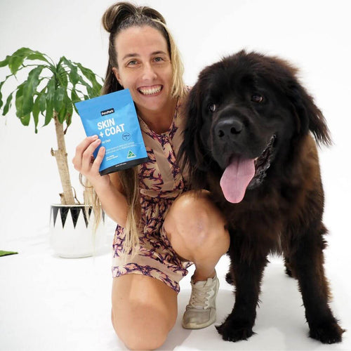 Skin + Coat for Dogs