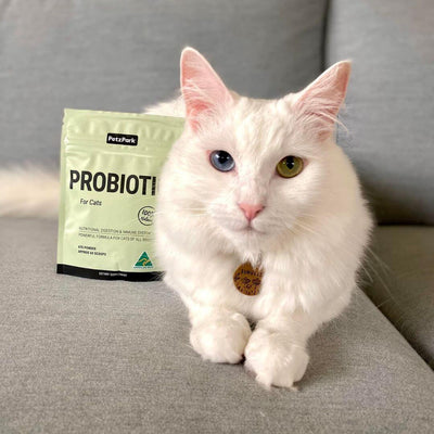 Probiotic for Cats