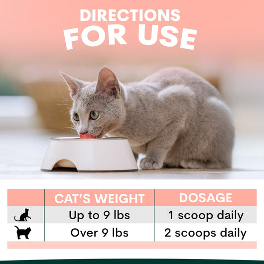 Hip + Joint for Cats