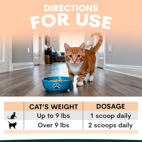 Multivitamin for Cats