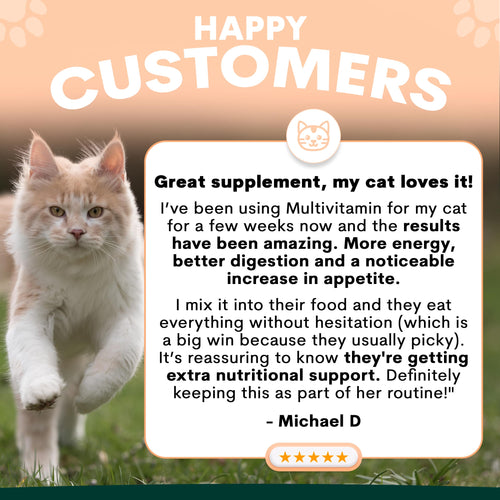 Multivitamin for Cats