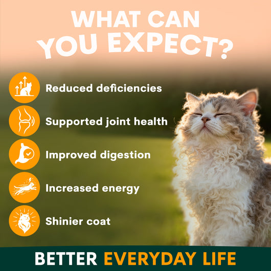 Multivitamin for Cats