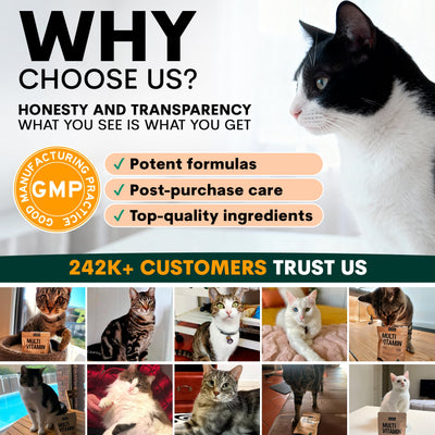 Multivitamin for Cats