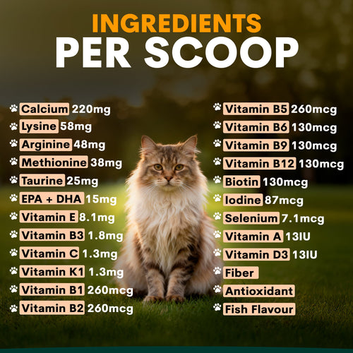 Multivitamin for Cats