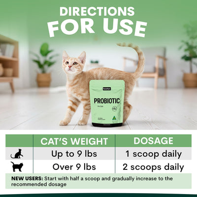 Probiotic for Cats