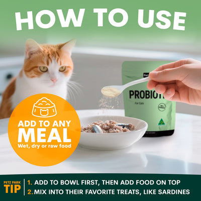 Probiotic for Cats