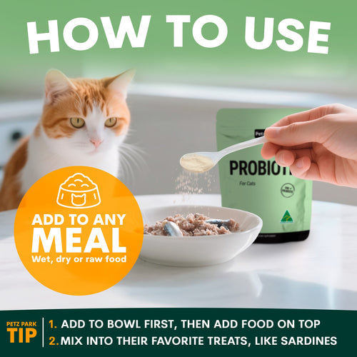 Probiotic for Cats