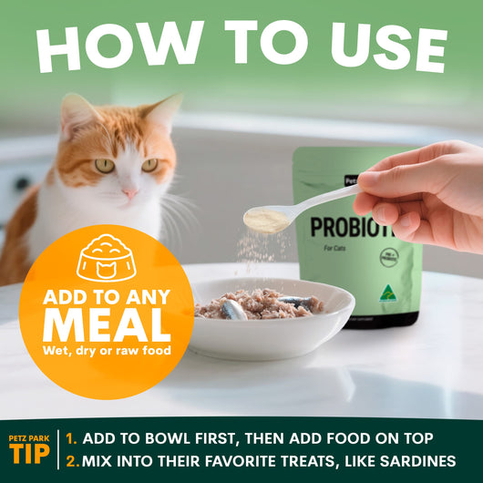 Probiotic for Cats