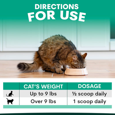 Plaque Control for Cats