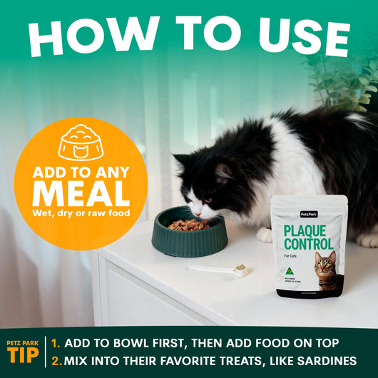 Plaque Control for Cats