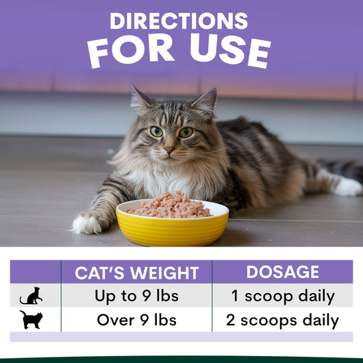 Stress + Anxiety for Cats