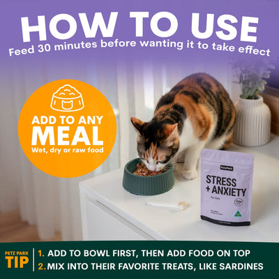 Stress + Anxiety for Cats