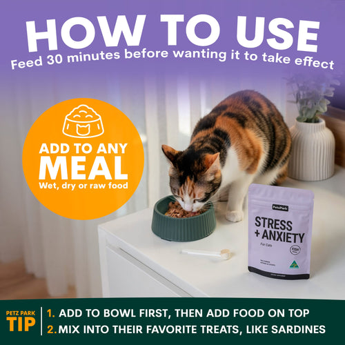 Stress + Anxiety for Cats