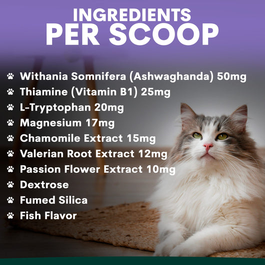 Stress + Anxiety for Cats