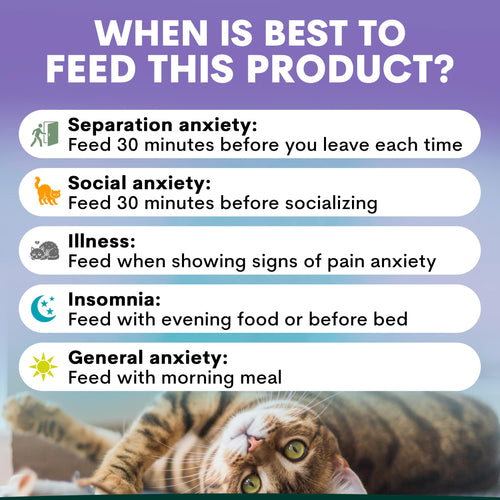 Stress + Anxiety for Cats