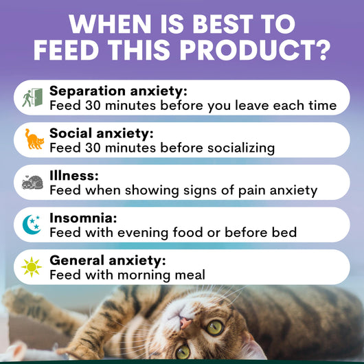 Stress + Anxiety for Cats