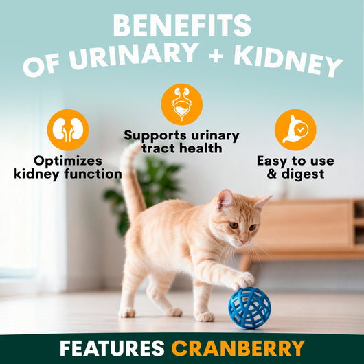 Urinary + Kidney for Cats