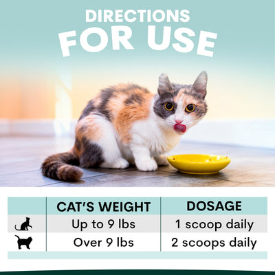 Urinary + Kidney for Cats