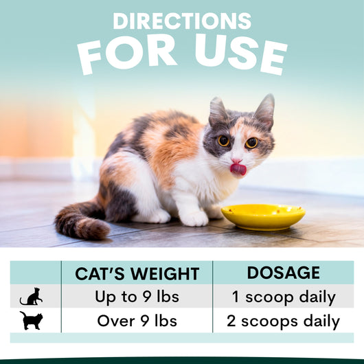 Urinary + Kidney for Cats
