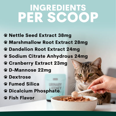 Urinary + Kidney for Cats