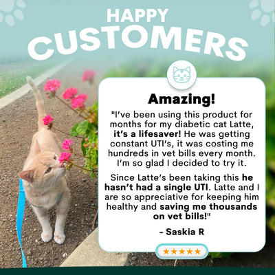 Urinary + Kidney for Cats