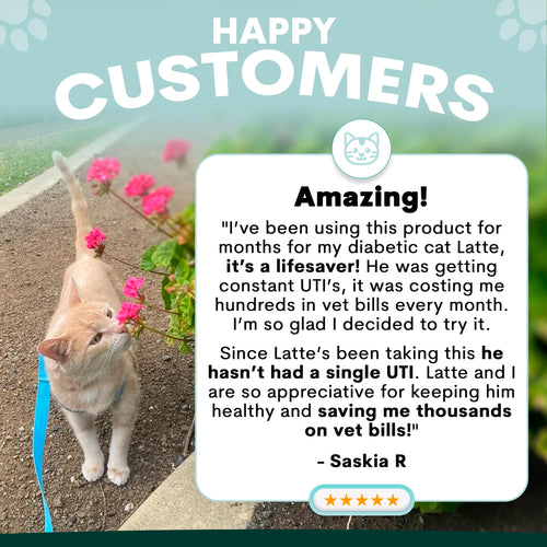 Urinary + Kidney for Cats
