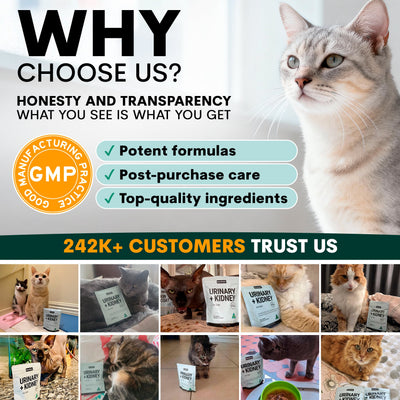 Urinary + Kidney for Cats