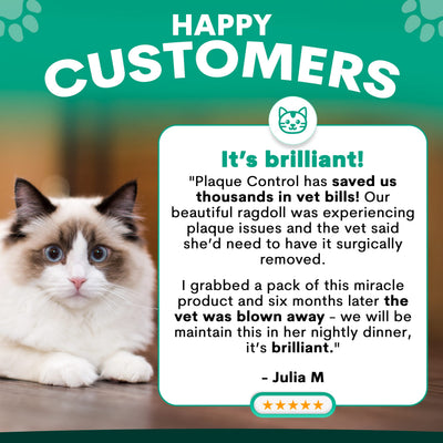Plaque Control for Cats