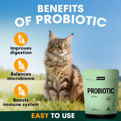 Probiotic for Cats
