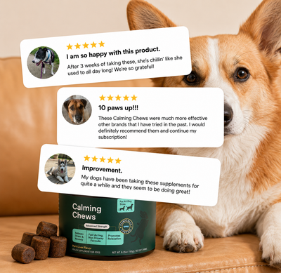Calming Chews