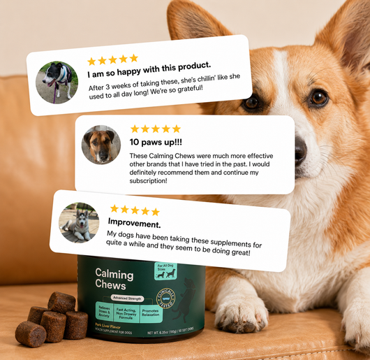 Calming Chews