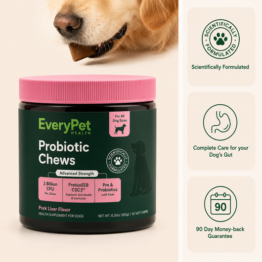 Probiotic Chews
