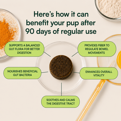 Probiotic Chews