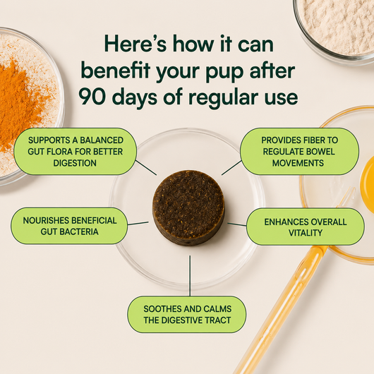 Probiotic Chews