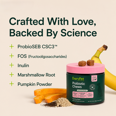Probiotic Chews