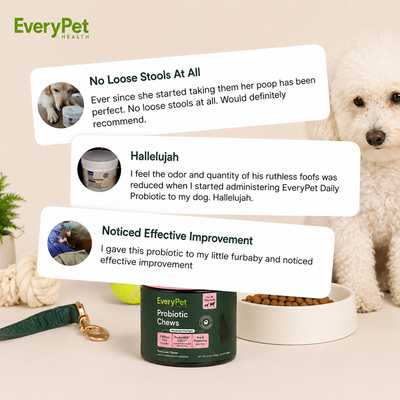 Probiotic Chews