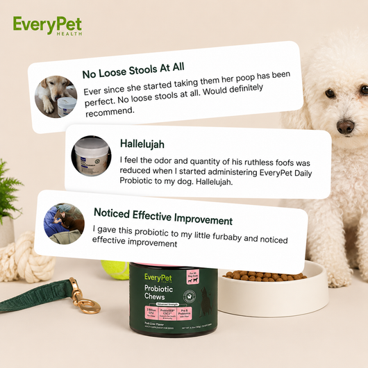 Probiotic Chews