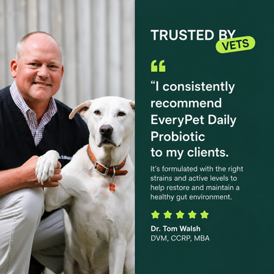 Probiotic Chews