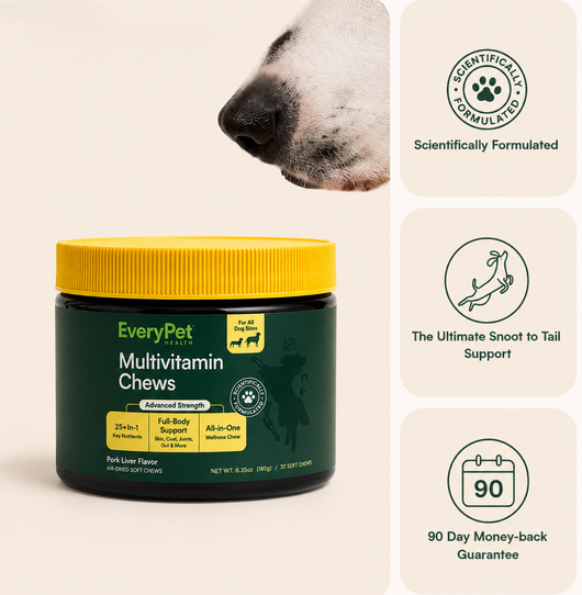 Multivitamin Chews