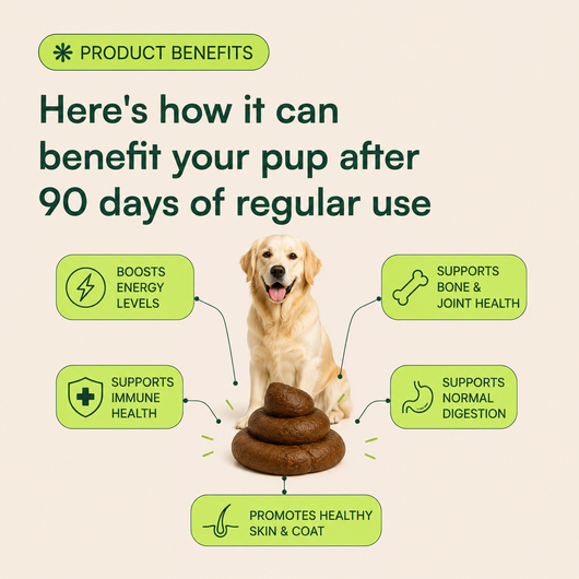 Multivitamin Chews