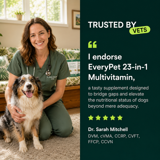 Multivitamin Chews